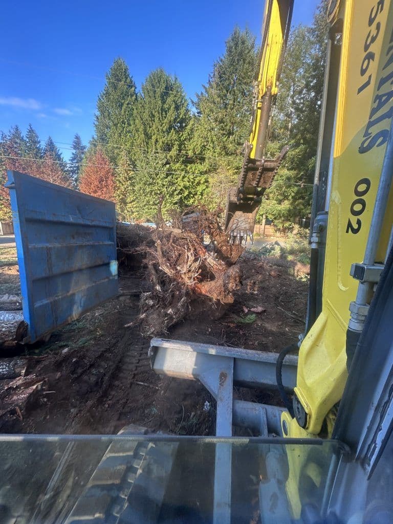 Excavator removing tree roots in a wooded area under a clear blue sky.