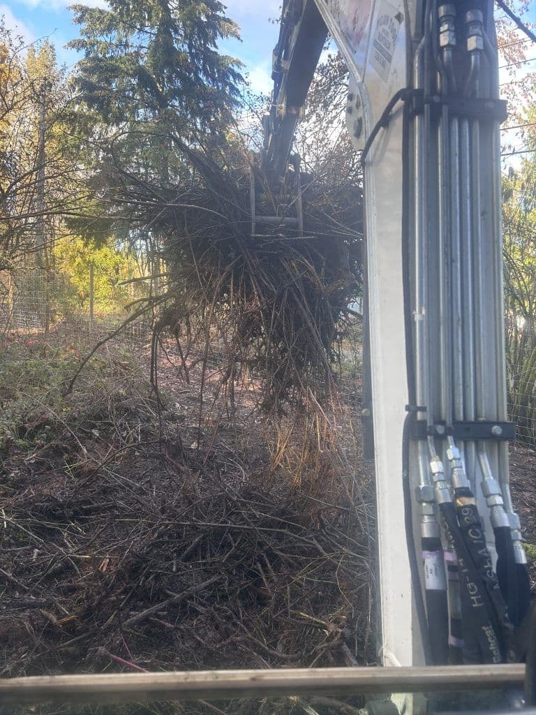 Excavator removing brush and debris in a wooded area during land clearing project.