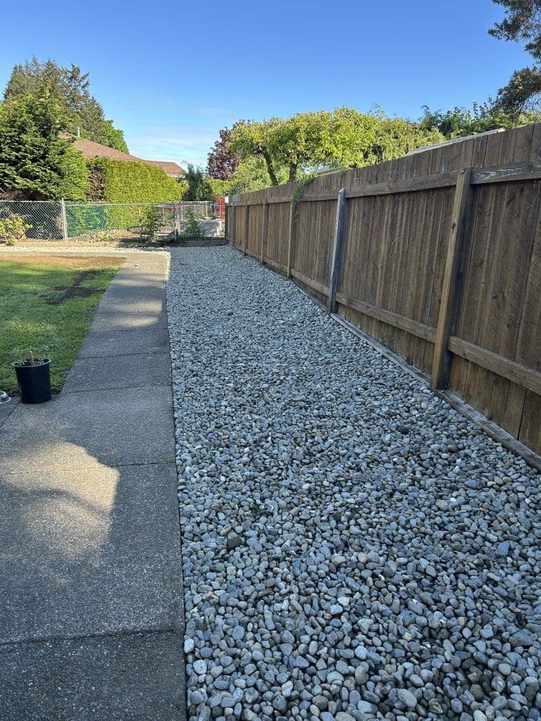 Gravel pathway alongside a wooden fence in a residential backyard under a clear blue sky.