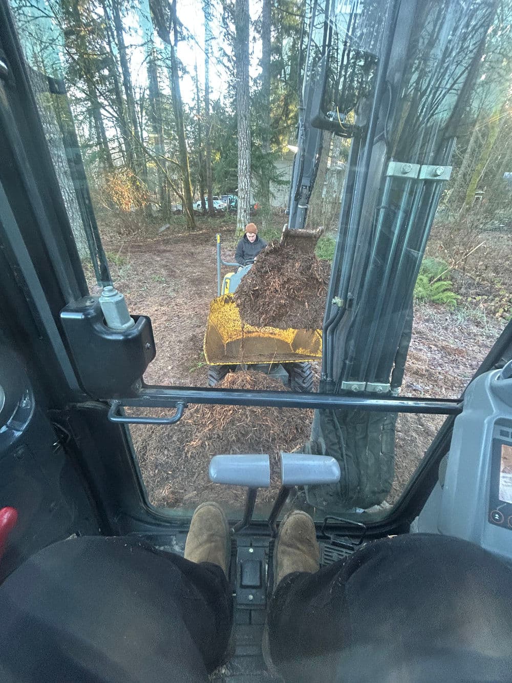 View from inside a construction vehicle loading mulch, with a worker in the background.