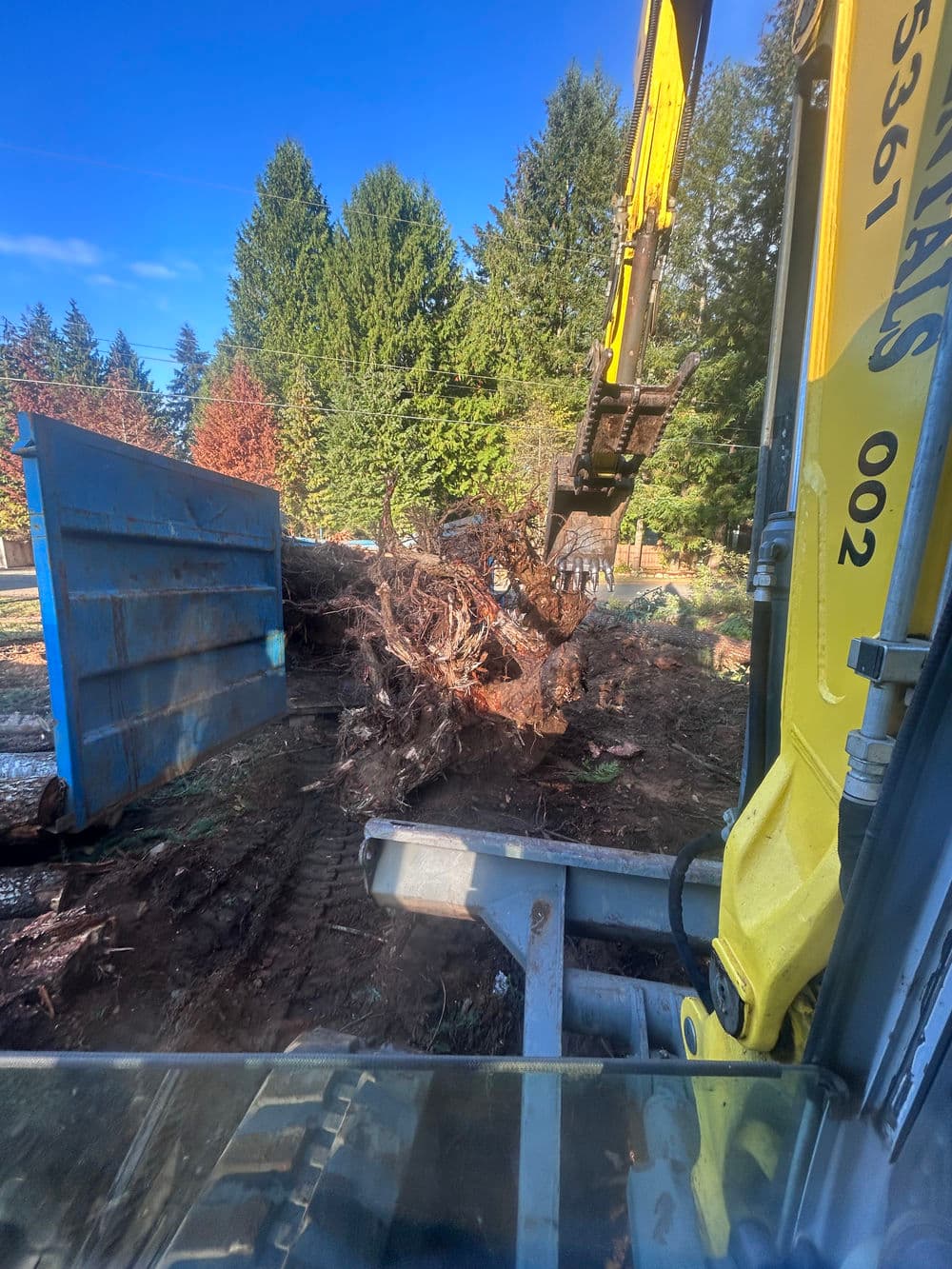 Excavator lifting a large tree stump with pine trees in the background.