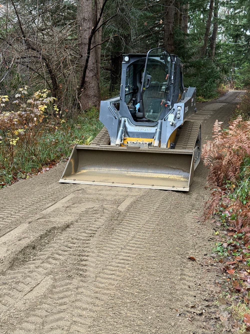 Compact skid steer loader leveling gravel path in forested area with trees and ferns.
