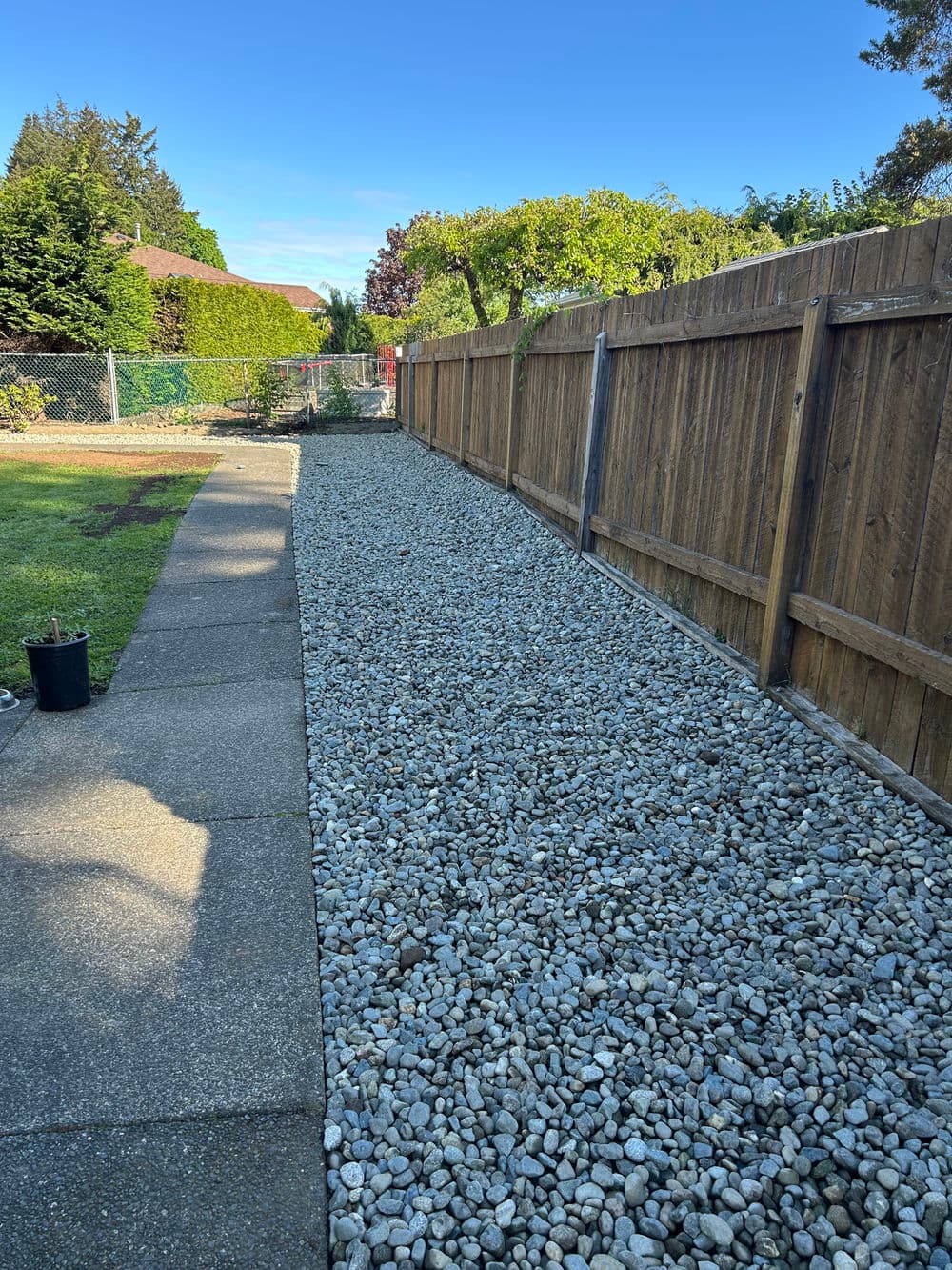 Gravel pathway alongside a wooden fence in a lush backyard with blue sky and greenery.