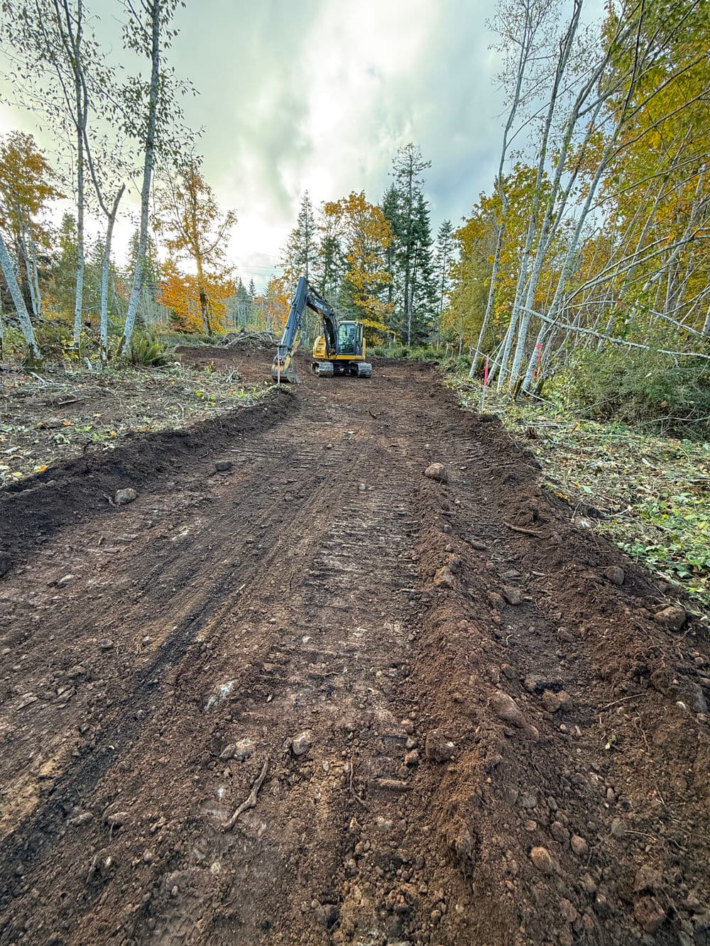 Excavator working on a dirt road in a forest during autumn, surrounded by trees.