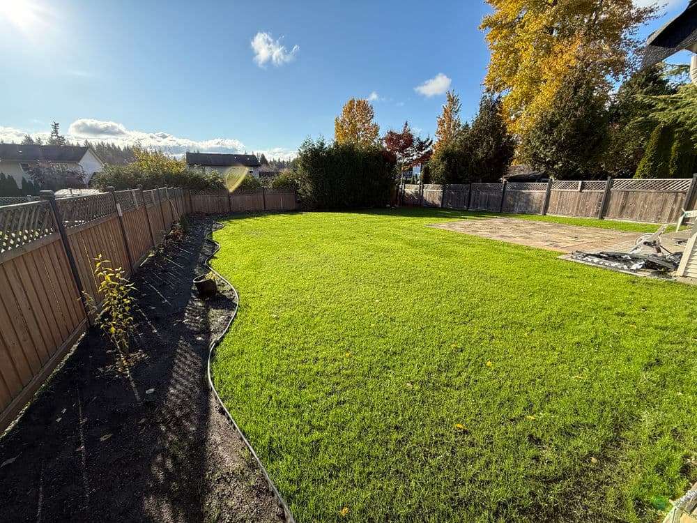 Lush green backyard with wooden fence, autumn trees, and patio on a sunny day.