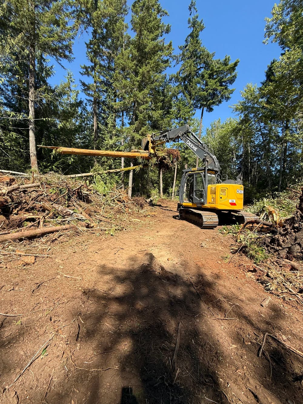 Excavator clearing trees in forested area, showcasing heavy machinery in action.