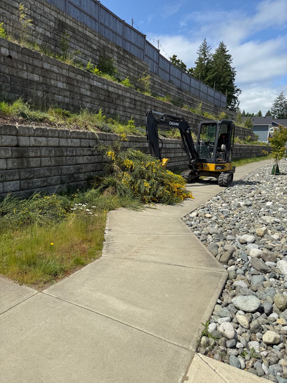 Excavator clearing overgrown vegetation along a paved walkway by a stone wall.