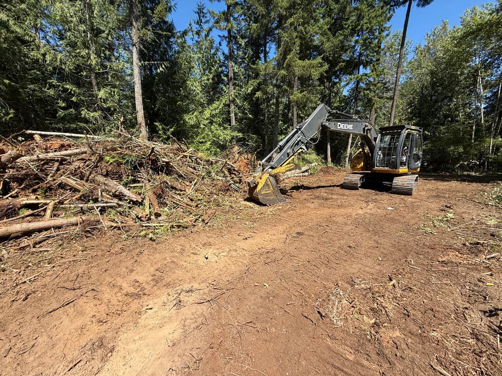 Excavator working in a forest clearing, surrounded by tree debris and lush greenery.