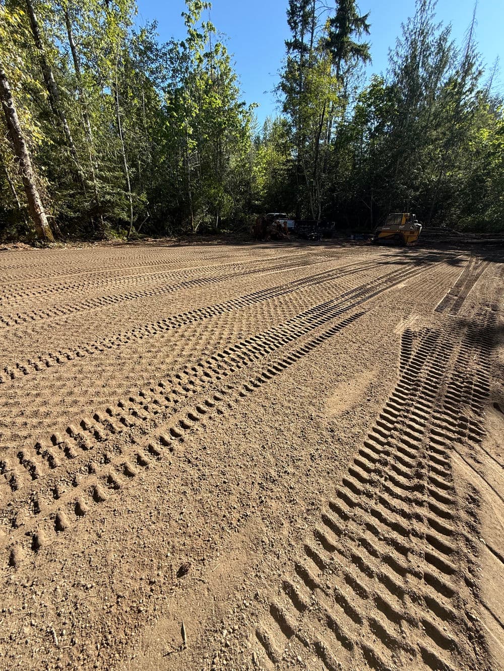 Freshly graded dirt plot with tire tracks, surrounded by trees in a forested area.