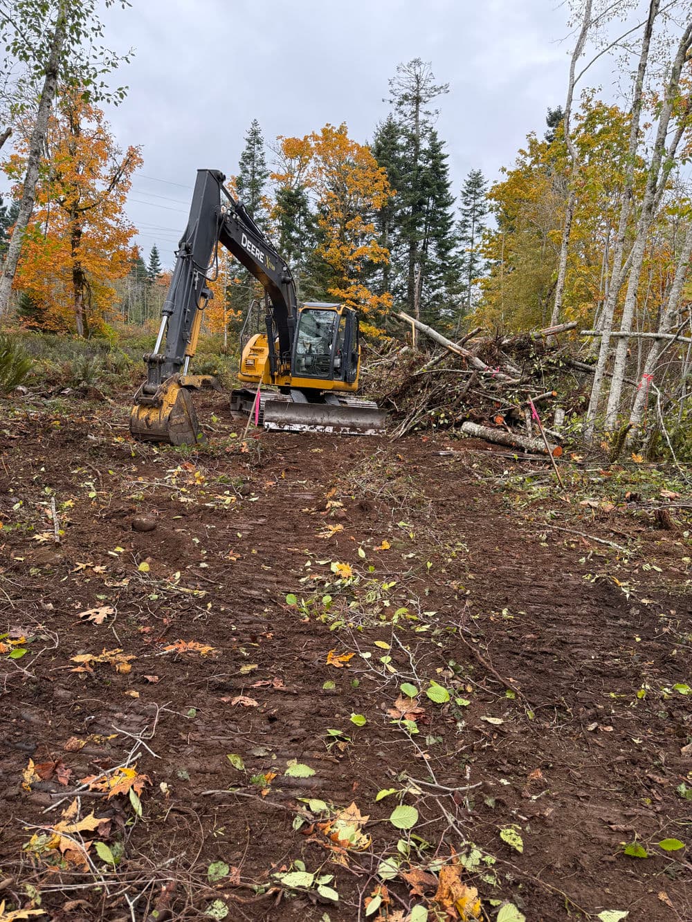 Excavator clearing land with autumn trees in the background, showcasing construction progress.